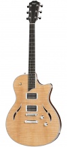 Taylor T3 Natural + Etui