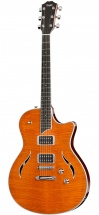 Taylor T3 Orange + Etui