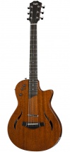 Taylor T5z Classic + Etui