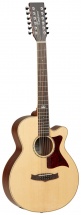 Tanglewood Premier Iii 12