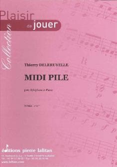 Deleruyelle Thierry Midi Pile Xylophone Et Piano