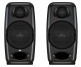 iLoud Micro Monitor