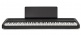 B2 BLACK WITH WOODEN STAND