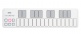 Nanokey 2 White