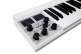 Micro Blanc