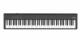 FP-30X BK