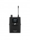 XSW IEM EK (A : 476 - 500 MHZ)