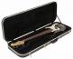 4 Bass Case