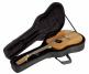 SC18 - Softcase Folk Dreadnought