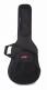 SC18 - Softcase Folk Dreadnought