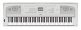 DGX-670 WH