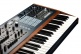 POLYBRUTE