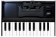 K-25M