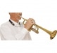 TRUMPET/CORNET/FLUGELHORN CORD