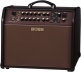 Acoustic Singer Pro