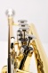 TOMA BB LACQUERED (ACTOMA-1-0)