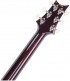 Dgt Black Gold Burst
