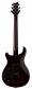 Se Dgt Mccarty Tobacco Sunburst