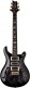 Special Semihollow Purple Mist 2024
