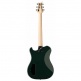 Myles Kennedy Hunters Green
