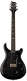Custom 24 Se Sh Piezo Charcoal Burst