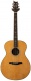 T60E Se Nat Sonitone