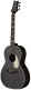 Parlor 20 Se Piezo Dg Dog Hair