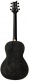 Parlor 20 Se Piezo Dg Dog Hair