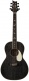 Parlor 20 Se Piezo Dg Dog Hair