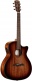 Ag66Cespbshb