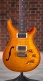 Dgt Semi-Hollow Ltd