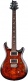 SE CE24 Black Gold Burst Limited