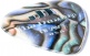 PICK CELLULOID ABALONE HEAVY BAG OF 12