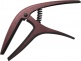 AXIS BRONZE