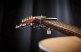 HERITAGE GUITAR STYLE 1 12-STRING SILVER