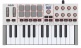 MPK Mini IV Grey