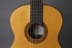 PROFESSIONAL LUTHIER METM FLAMENCO PALOSANTO FLAMENCO + CASE 9650