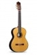 PROFESSIONAL LUTHIER METM FLAMENCO PALOSANTO FLAMENCO + CASE 9650