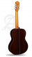 Professional Luthier Linea Profesional + 9650 Bam Iconic Case