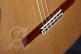 Professionnel Luthier Linea Profesional + 9650 Bam Iconic Etui
