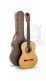 PROFESSIONAL LUTHIER LINEA PROFESIONAL + 9650 BAM ICONIC CASE