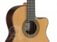 Concert 9P Cw E8 + 9557 Case