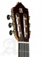 Concert 9P Cw E8 + 9557 Case