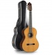 Concert 9P A + 9557 Case