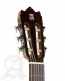 Etude 3C CW E1 + 9730 10mm Housse