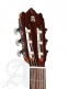Student 3F Cw E1 Flamenco + 9738 25mm Gigbag