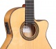 Conservatory 7Fc Ct E2 Flamenco + 9738 25mm Gigbag