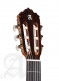 Conservatory 7Fc Ct E2 Flamenco + 9738 25mm Gigbag