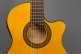 Student 3F Ct E1 Flamenco + 9730 10Mm Gigbag