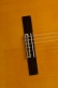Student 3F Ct E1 Flamenco + 9730 10Mm Gigbag